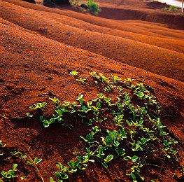【直播预告】”银狼“Q酱带你玩转绝区零！观看直播赢绝区零周边